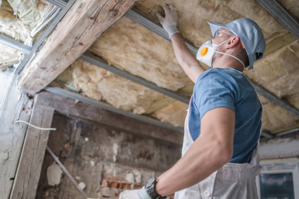 Best Commercial Insulation in Friars Point, MS