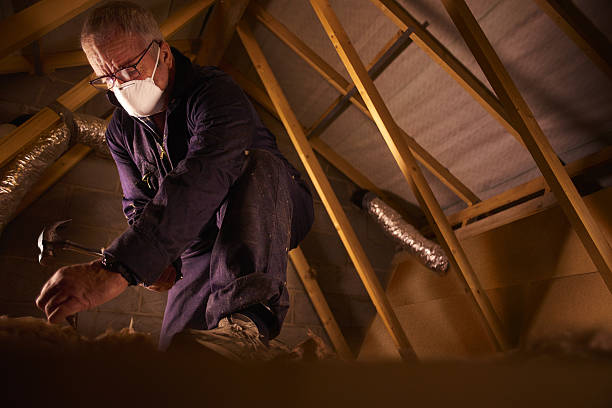 Best DIY Insulation Kits and Guidance in Friars Point, MS